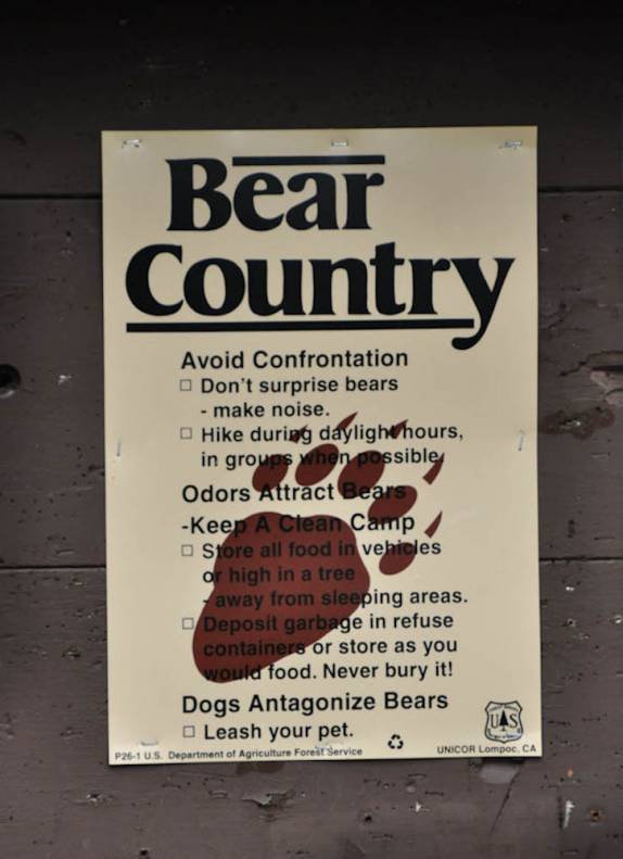 Estamos em 'Bear Country', em trilha na estrada para Seward, na Península do Kenai, sul do Alaska
